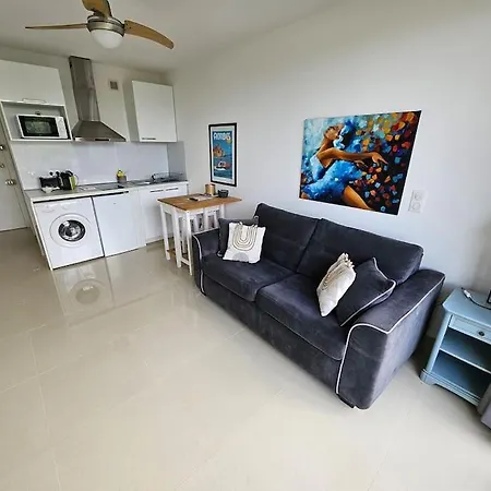 Charmant Studio Tout Confort Au Calme Apartamento Antibes